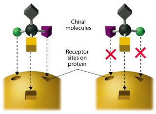Illustrazione che mostra l’interazione delle molecole chirali con i recettori biologici. Crediti: Chemistry: Principles, Patterns, and Applications