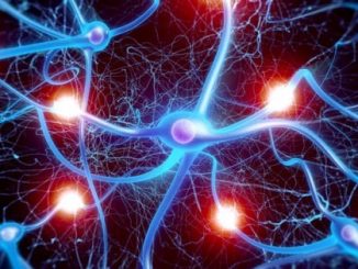 Microchip bioibrido si collega ai neuroni del cervello