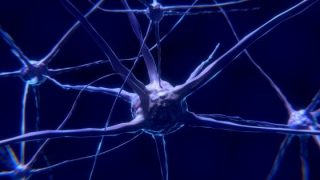 I primi neuroni geneticamente modificati e controllati elettricamente