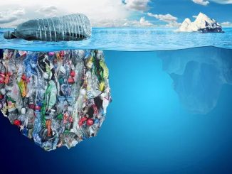 Iceberg di plastica si muovono nell'Oceano Pacifico