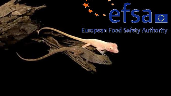 Efsa, valutazione dei rischi alla salute degli animali GM