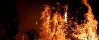 Brasile, l'Amazzonia brucia: è stato il giugno peggiore degli ultimi 13 anni
