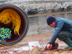 Trovate microplastiche in gamberetti del Mar Artico