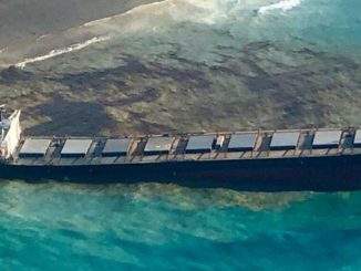 Il cargo MV Wakashio sta sversando carburante nelle Mauritius