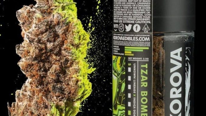 Su internet cannabis ad altissimo valore di Thc Su internet cannabis ad altissimo valore di Thc