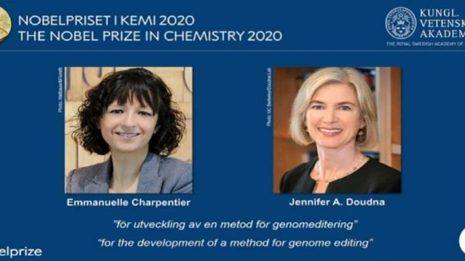 L'editing del genoma ha vinto il premio Nobel per la Chimica 2020