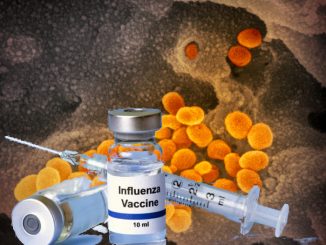 Gli anticorpi per il coronavirus durano pochi mesi