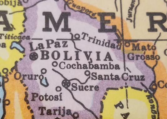 Pericoloso virus Chapare si sta diffondendo in Bolivia Pericoloso virus Chapare si sta diffondendo in Bolivia