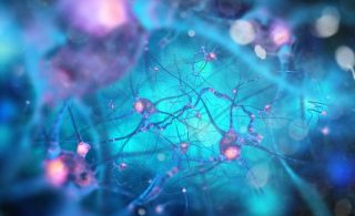 Circuiti neurali attivi nel cervello in un'illustrazione medica. | Shutterstock