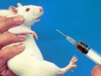 Sospesa la legge sulla sperimentazione animale dei vaccini