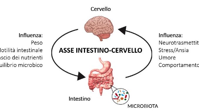 Interazione Cervello e intestino