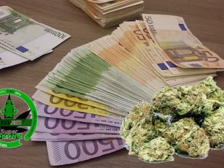 Maggiore gettito fiscale dalla legalizzazione della cannabis