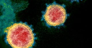 Coronavirus, scoperta una combinazione di mutazioni mai osservate prima