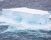 Antartide, si è sciolto A68: l'iceberg più grande del mondo.