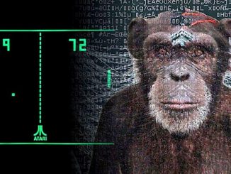 Pager, la scimmia interconnessa con impianto neurale
