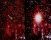 Neutrini dalle supernove