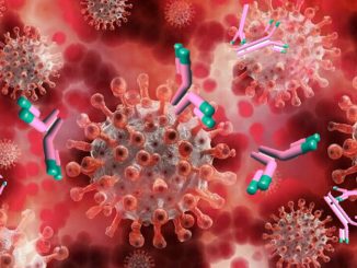 Cura anticorpale previene il coronavirus per un anno