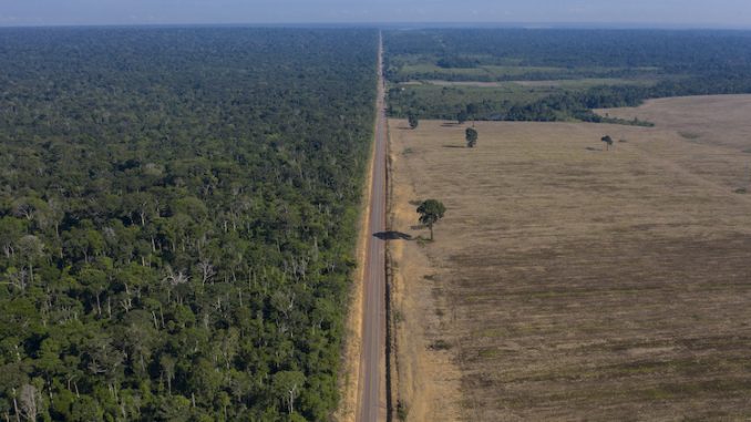 Una porzione di foresta distrutta per far spazio a campi di soia, in Brasile (AP Photo/Leo Correa, File)
