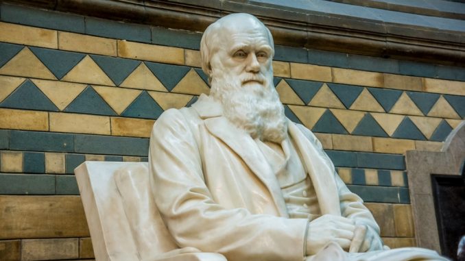 La statua di Charles Darwin (1809 - 1882) al Museo di scienze naturali di Londra. elRoce / Shutterstock