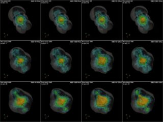 Morfologia degli ejecta ricchi in ferro (arancione), silicio (verde) e ossigeno (blu) previsti dal modello in cui l’energia rilasciata durante l’esplosione è pari a 12×1051 erg. Ogni pannello rappresenta un diverso momento dell’evoluzione del resto di supernova, col tempo che aumento dai pannelli in alto verso quelli in basso. Ogni colonna raffigura la morfologia del resto di supernova ottenuto assumendo le 4 combinazioni tra due valori di massa della stella esplosa (60 e 80 masse solari) e di velocità iniziale (0 e 300 km/s). La superficie semitrasparente mostra la posizione dell’onda d’urto, la superficie gialla mostra la posizione dell’onda d’urto inversa. Crediti: S. Ustamujic et al. A&A, 2021