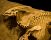 I veri dinosauri di Jurassic World