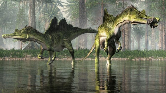 Nel basso Cretaceo, quando secondo questo studio la Terra conobbe un abbassamento notevole della sua temperatura media globale, viveva tra gli altri anche l'Ichthyovenator (nella ricostruzione 3D vediamo due esemplari), un dinosauro "cacciatore di pesci". Shutterstock