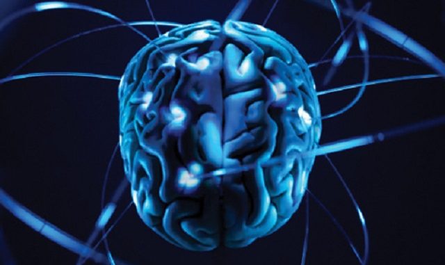 La differenza tra il cervello delle persone “altamente sensibili” e quelle “normosensibili”