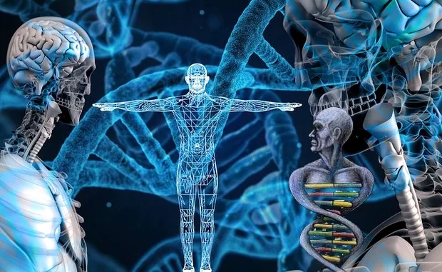 Dopo 21 anni completata la mappa del genoma umano