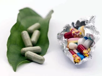 Piante medicinali e la resistenza agli antibiotici