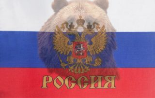 L'orso bruno l'animale simbolo delle Russia.