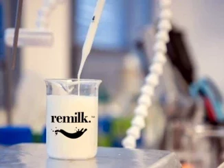 Sintetizzato in laboratorio latte identico al latte di mucca
