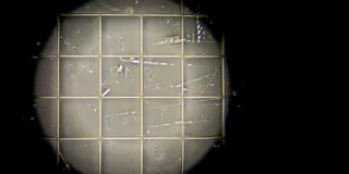 Un campione di sperma in un laboratorio australiano (AP Photo/Wong Maye-E)