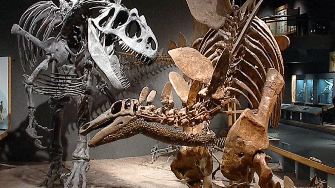 Nuovi studi fanno luce sulla causa dell'estinzione dei dinosauri