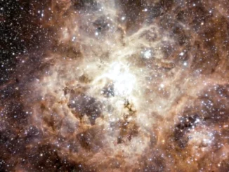 Osservate nuove stelle del vivaio stellare 30 Doradus
