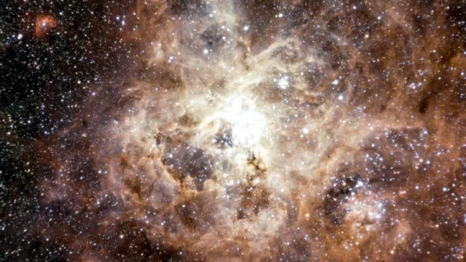 Osservate nuove stelle del vivaio stellare 30 Doradus