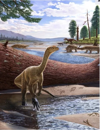 Ricostruzione artistica del più antico dinosauro africano, Mbiresaurus raathi (fonte: A. Atuchin)