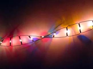 Radioresistenza del DNA a basse dosi di radiazioni