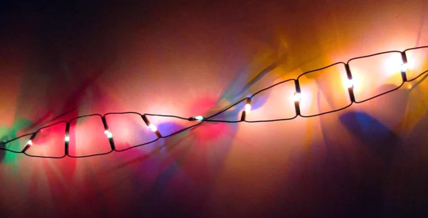Radioresistenza del DNA a basse dosi di radiazioni