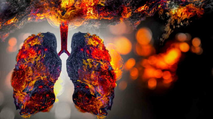 I polmoni di un fumatore possono guarire se si smette di fumare?