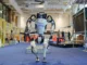 Atlas il robot umanoide che fa parkour e porta pesi