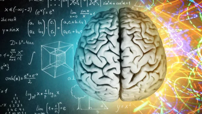 La fluidità cognitiva mantiene giovane il cervello umano