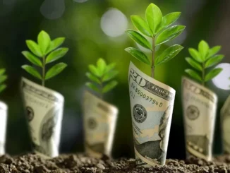 Indirizzare fondi per la finanza sostenibile ambientale
