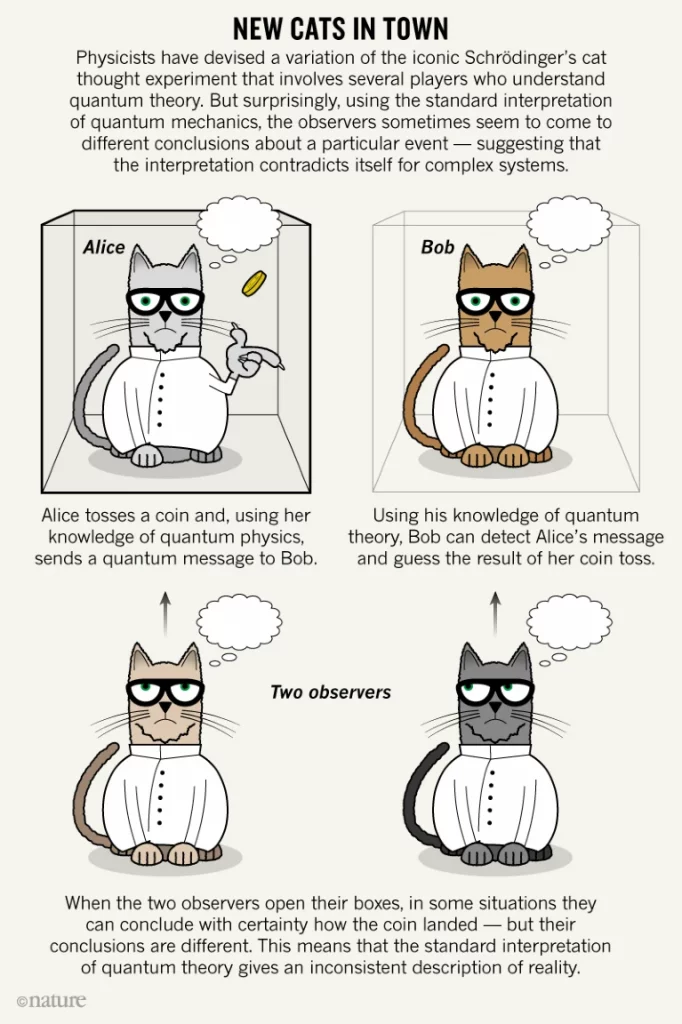 Infografica della nuova versione del paradosso del gatto di Schrödinger. Credit: Nature.