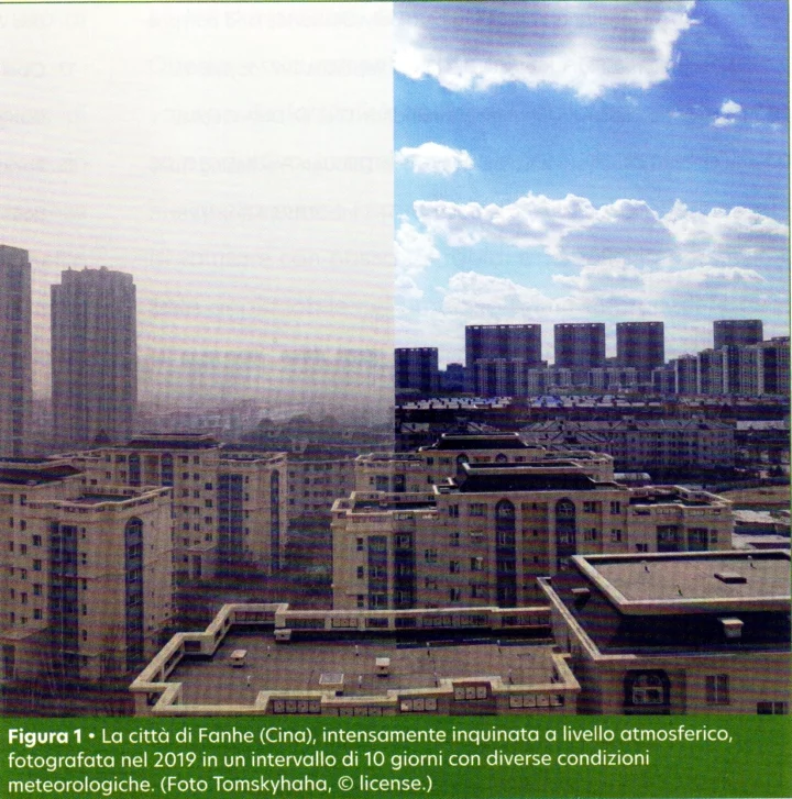 "Crescere" aria pulita in città è possibile? Il verde tecnico per il miglioramento della qualità atmosferica.