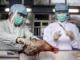 Maggiore vigilanza da parte dell'Oms sull'influenza aviaria