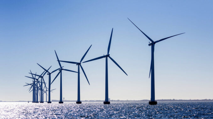 L'Olanda spegne le sue turbine eoliche per permettere il transito degli uccelli migratori