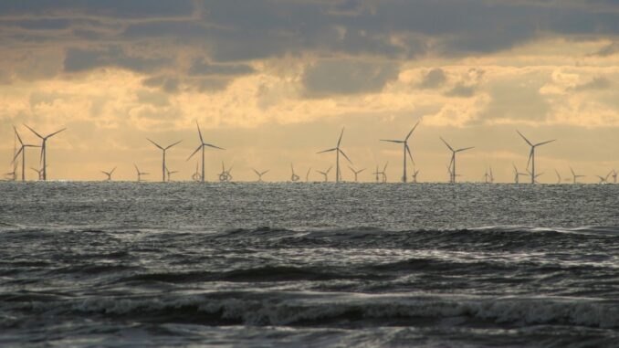 L'Olanda spegne le sue turbine eoliche per permettere il transito degli uccelli migratori