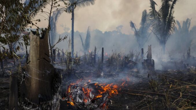 Un incendio ad Apuí, nel sud dello stato di Amazonas, Brasile, 21 settembre 2022. (Michael Dantas, Afp)