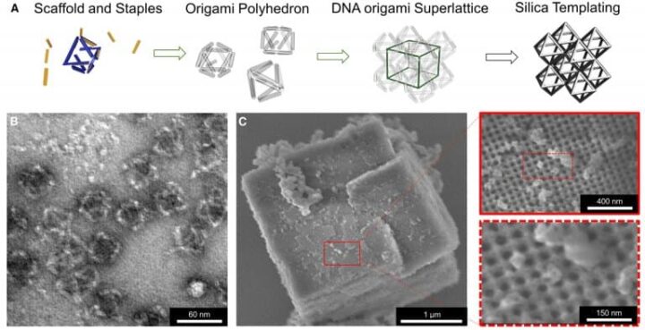 La serie di immagini in alto (A) mostrano come lo scheletro della struttura viene assemblato con DNA, quindi rivestito con vetro.(B) mostra un'immagine al microscopio elettronico a trasmissione del materiale e (C) ne mostra un'immagine al microscopio elettronico a scansione, con i due pannelli di destra che ingrandiscono le caratteristiche su scale diverse. Credits: Università del Connecticut.