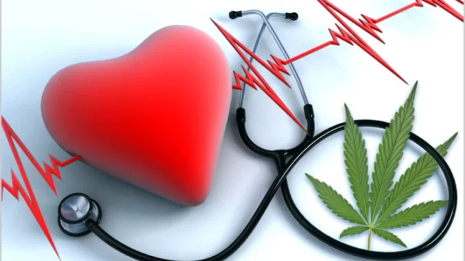 Fumare marijuana in età avanzata favorisce l'infarto